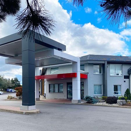 Comfort Inn Dryden Exteriér fotografie