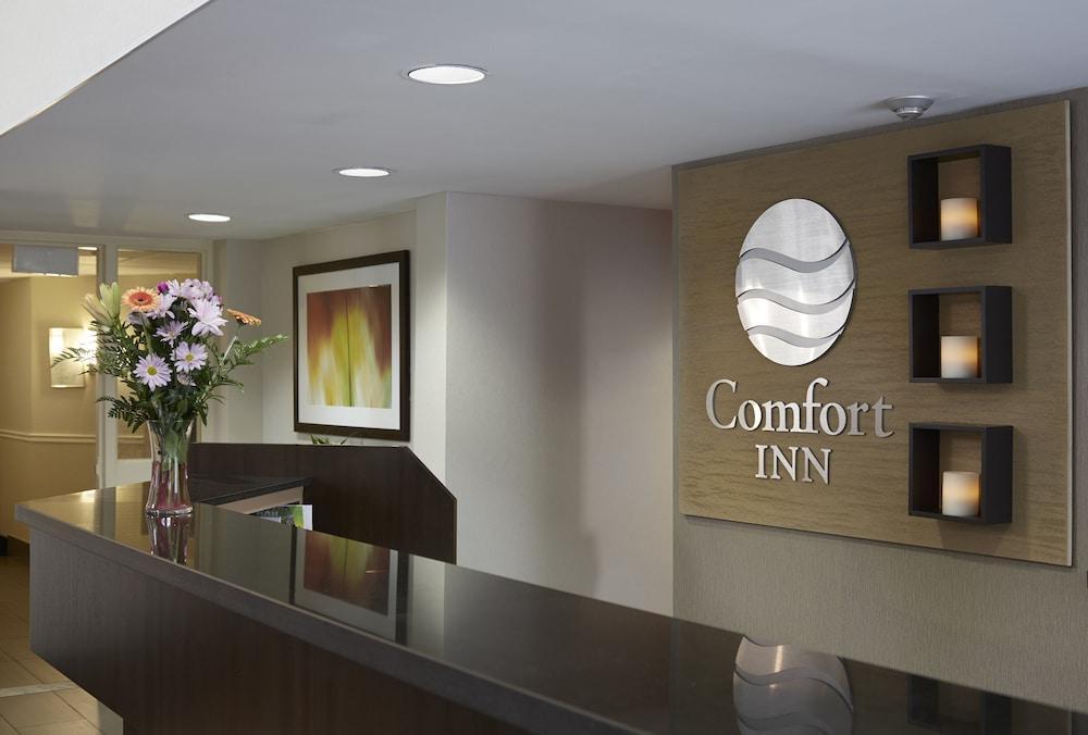 Comfort Inn Dryden Exteriér fotografie