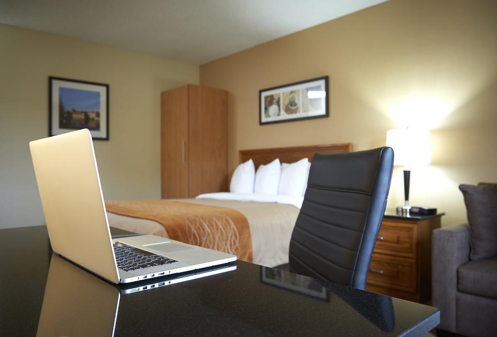 Comfort Inn Dryden Exteriér fotografie