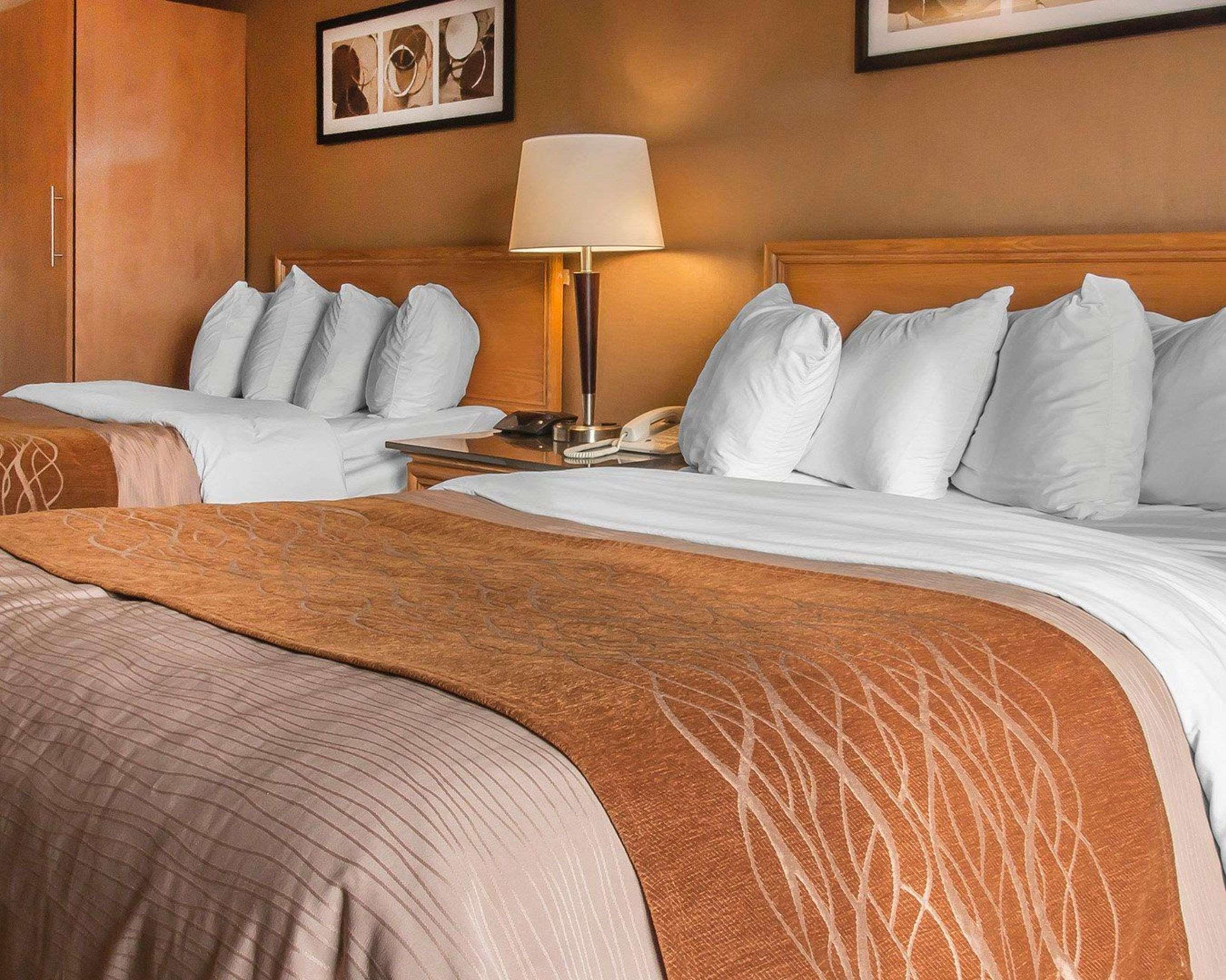 Comfort Inn Dryden Exteriér fotografie